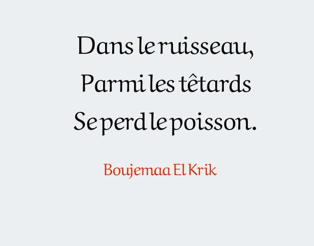 Sans titre.jpg