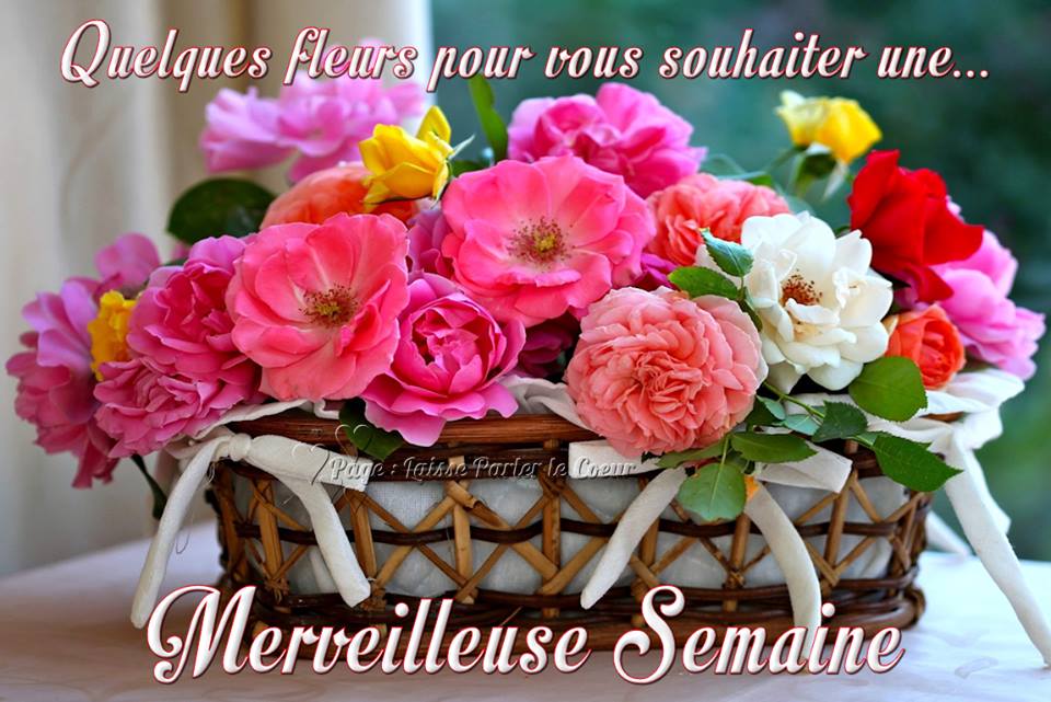 semaine.jpg