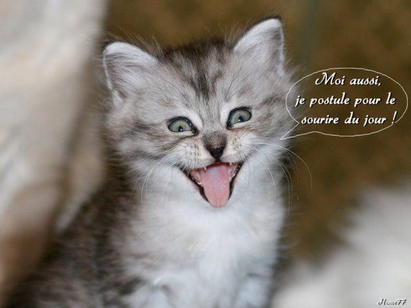 Sourire drole.jpg
