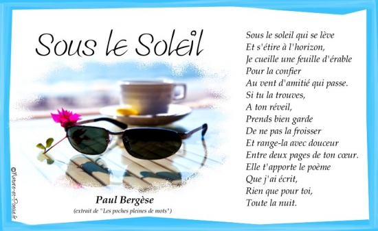 Sous le soleil avec image.jpg