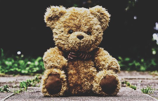 teddy-bear-3599680__340.jpg
