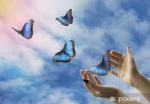 téléchargé (5).jpg