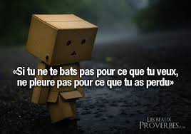téléchargement (3).jpg