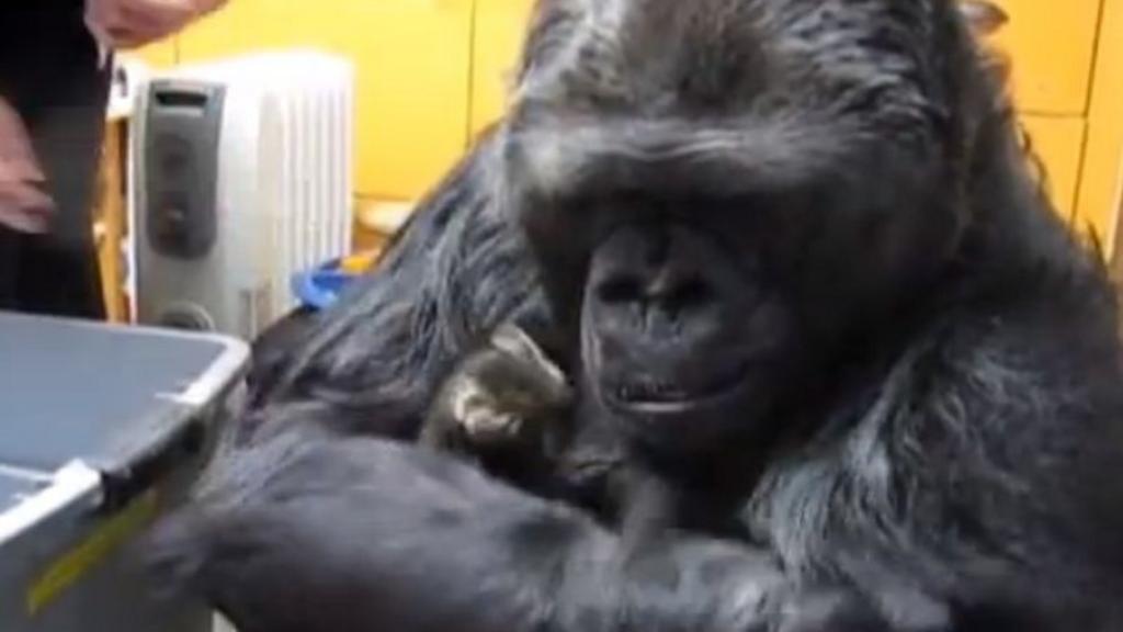 tendresse.jpeg