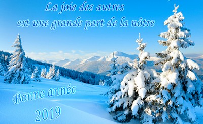 texte-bonne-annee.jpg