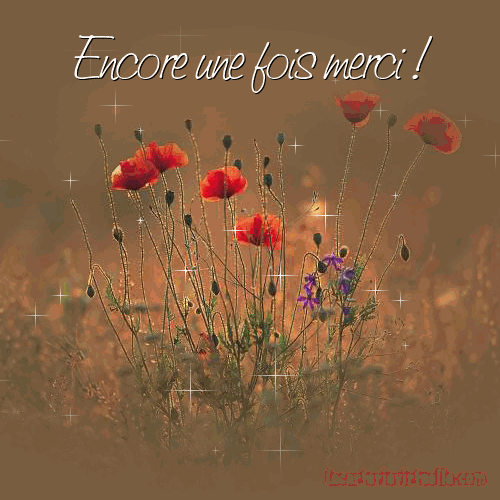 th.gif encore une fois merci fleurs.gif