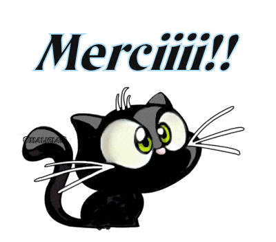 th.gif merci chat 2.gif