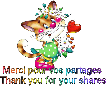 th.gif merci pour vos partages.gif
