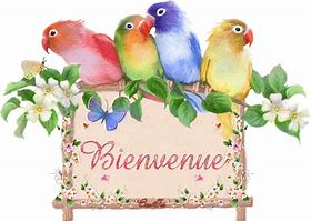 th36WPHBKY.jpg bienvenue oiseaux.jpg