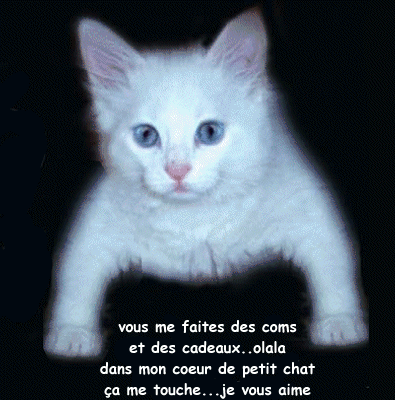 thAOBATIJD.gif merci chat pleure de joie.gif