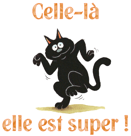 thD75R0YGZ.gif celle-là elle est super, chat.gif