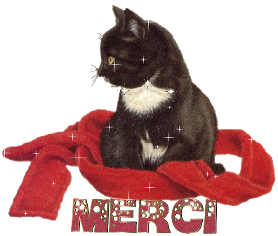 thFVGZIGMK.gif merci chat .gif