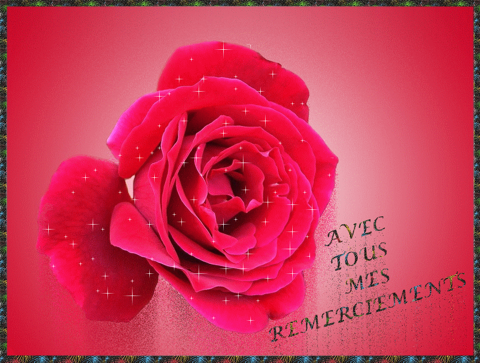 thLDY266YU.gif rose, avec tous mes remerciements.gif
