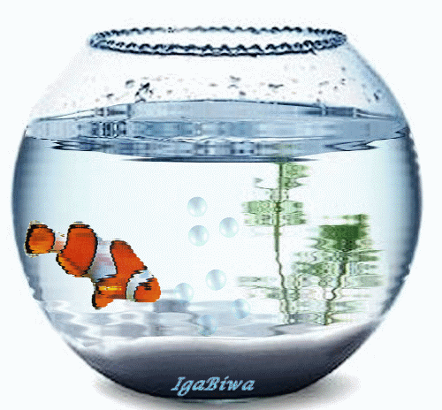 thLKS8CJOO.gif poisson clouwn.gif