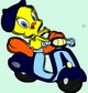 titi-moto-1.jpg