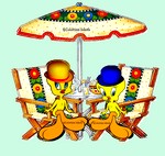 titi-parasol.jpg