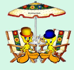 titi-parasol.jpg
