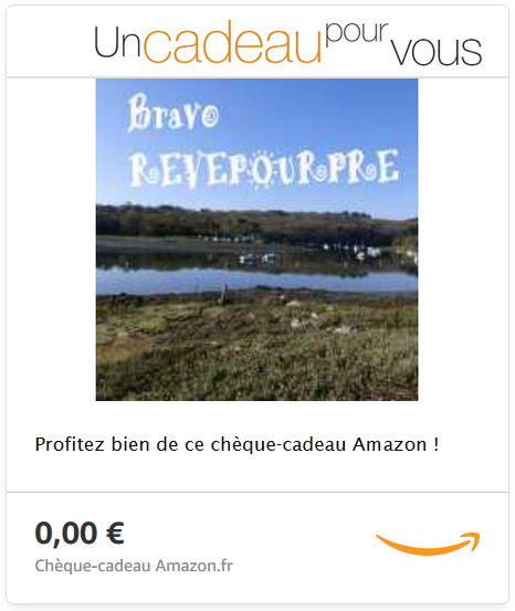topposteurdelannee.PNG