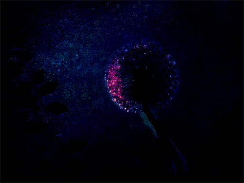 tumblr_mljzc6IKWP1rjxbmho1_500.gif