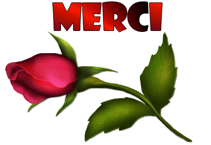 UN-GRAND-MERCI-A-TOUS.gif
