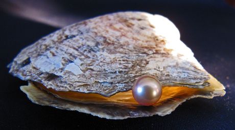 une-perle-dans-une-huitre_66997_w460.jpg