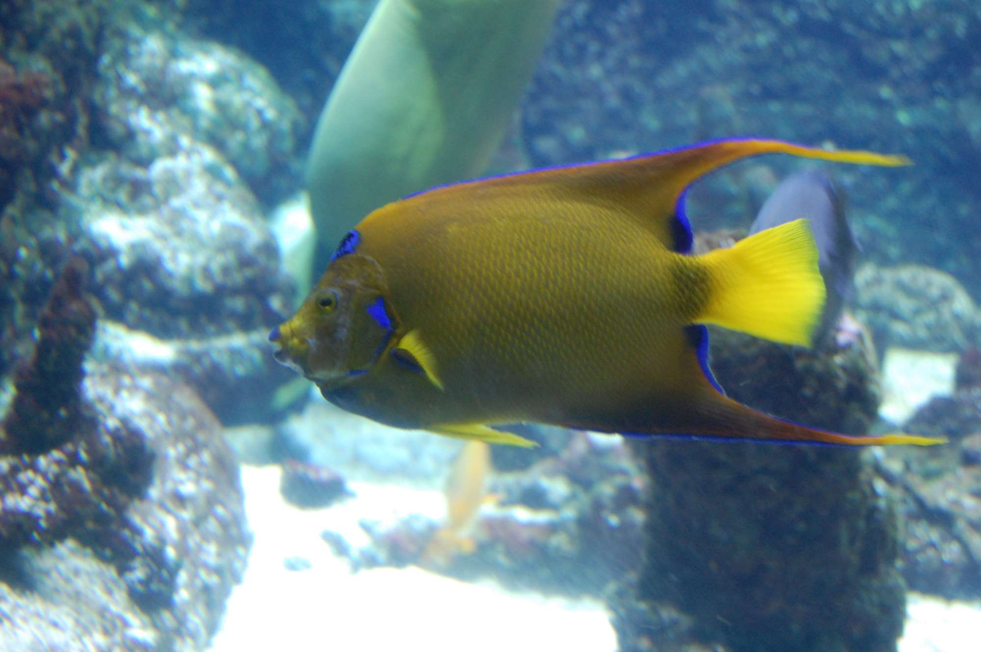 vacances 2011 109.jpg