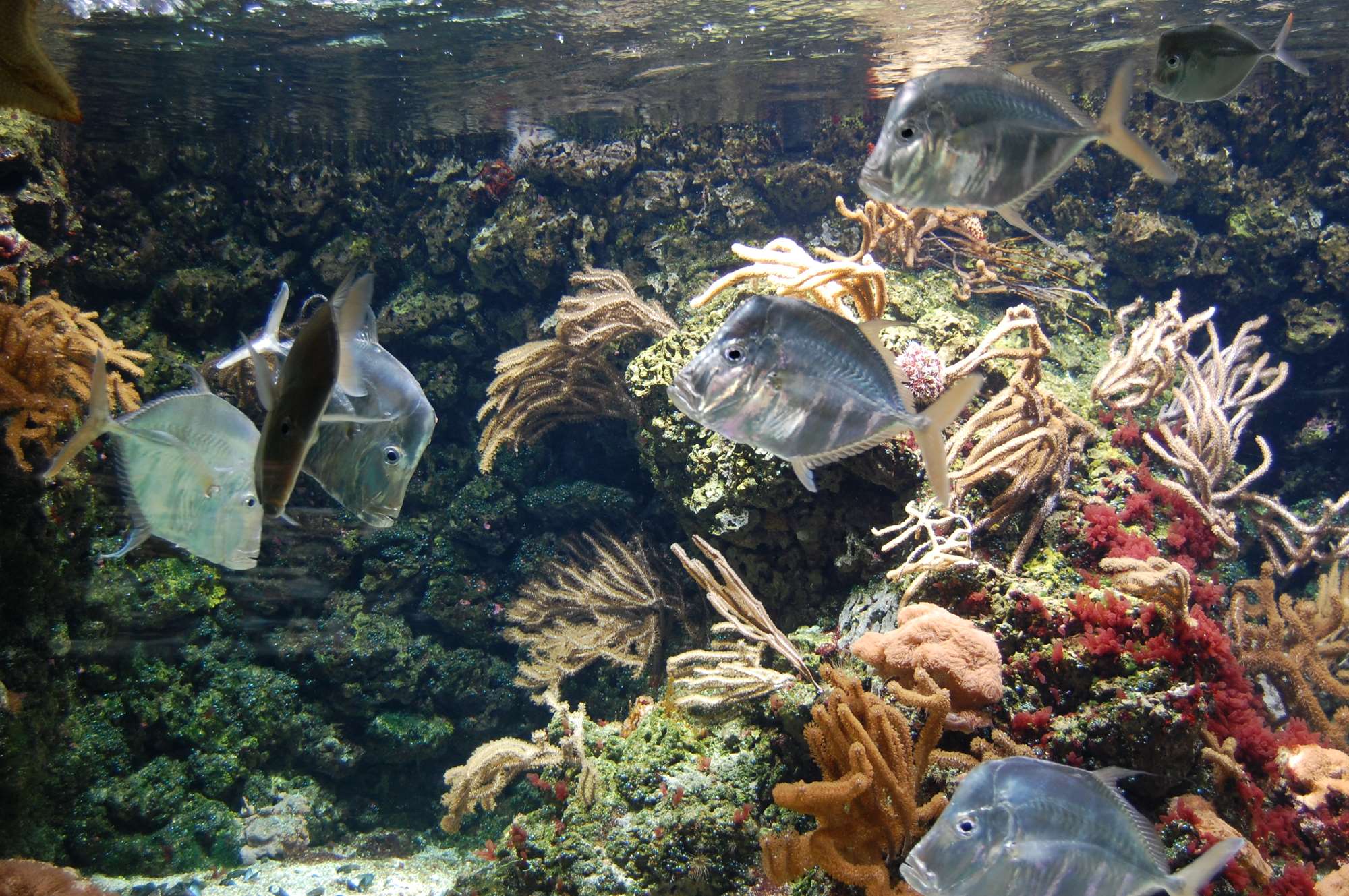 vacances 2011 114.jpg