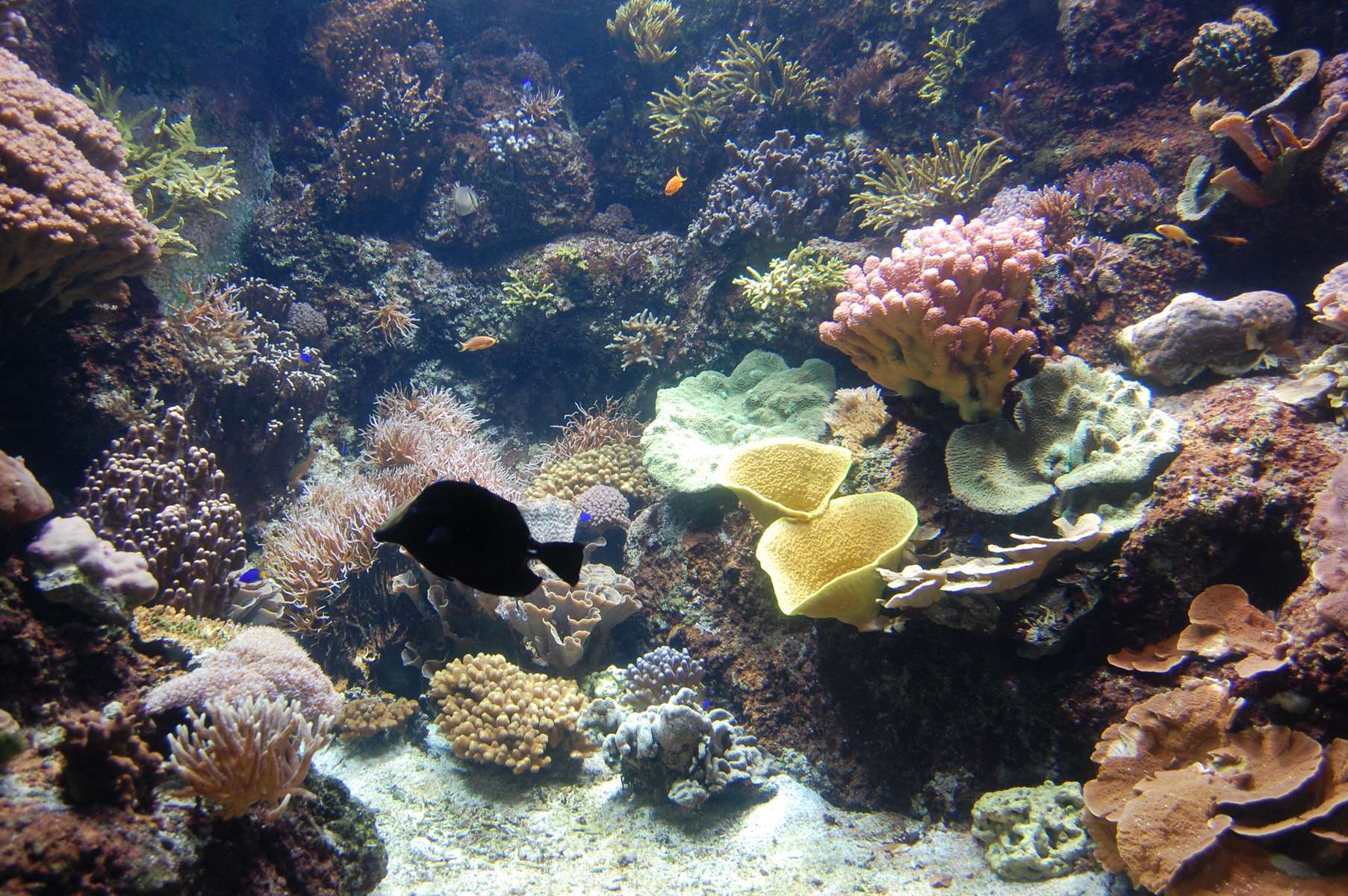 vacances 2011 121.jpg
