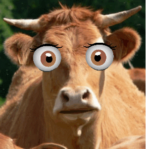 vache.gif