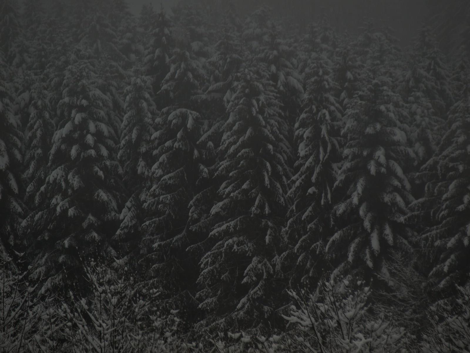 vosges.jpg