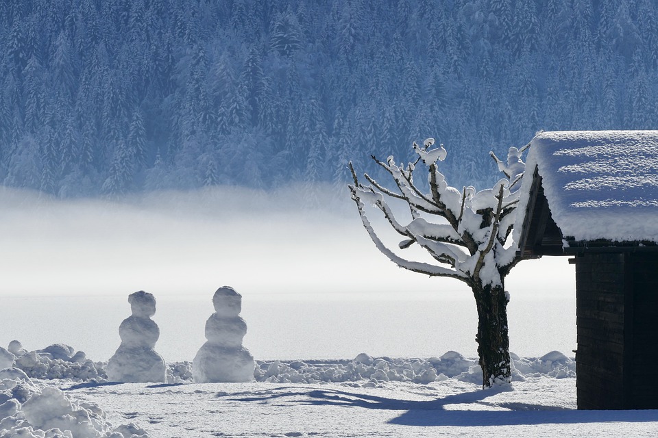 winter-3068244_960_720.jpg