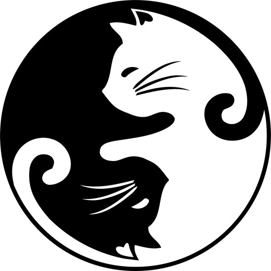 yin yang.jpg